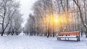 banc sous la neige